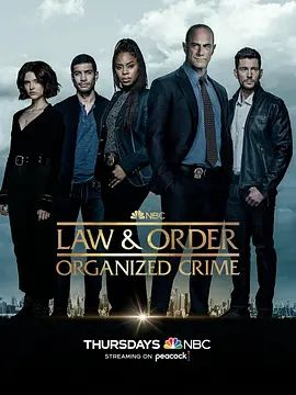 法律与秩序组织犯罪第三季全集在线观看
